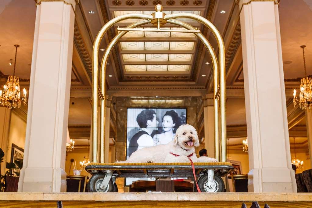 Hotel Deluxe Portland Interno foto